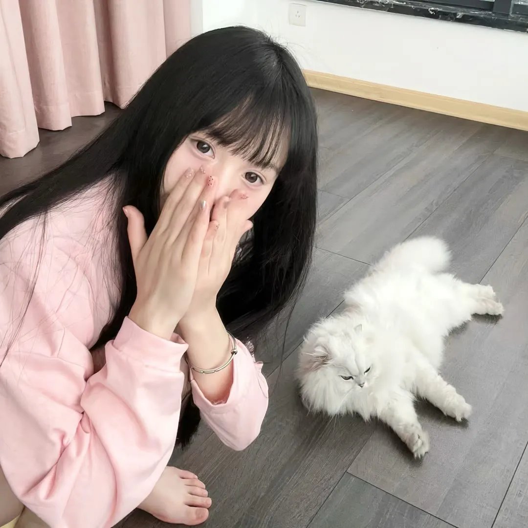 生命速写